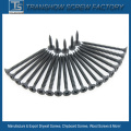 3.5*25mm C1022 Hardend Steel Black Phosphated Drywall Screws